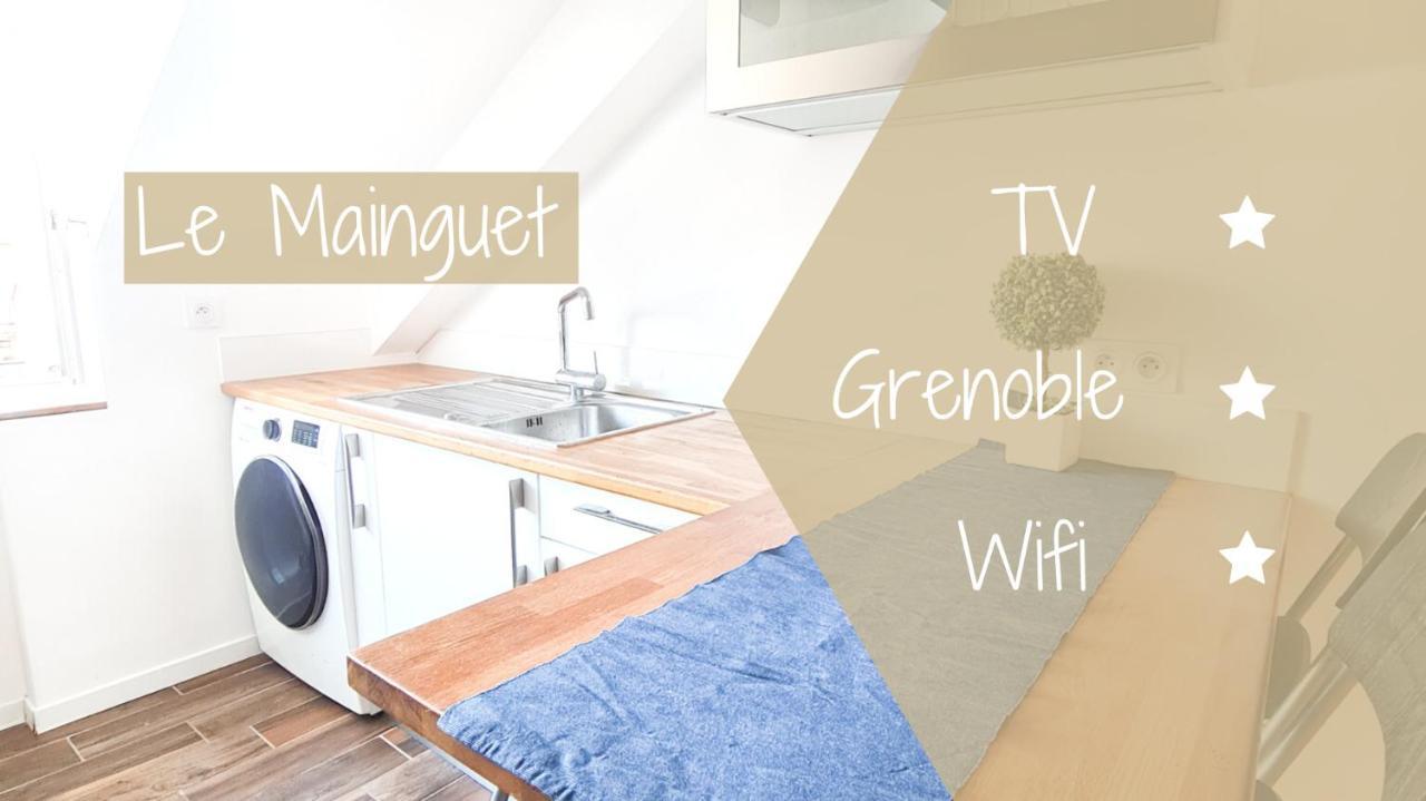 Le Mainguet - Appartement Cosy - غرونوبل المظهر الخارجي الصورة