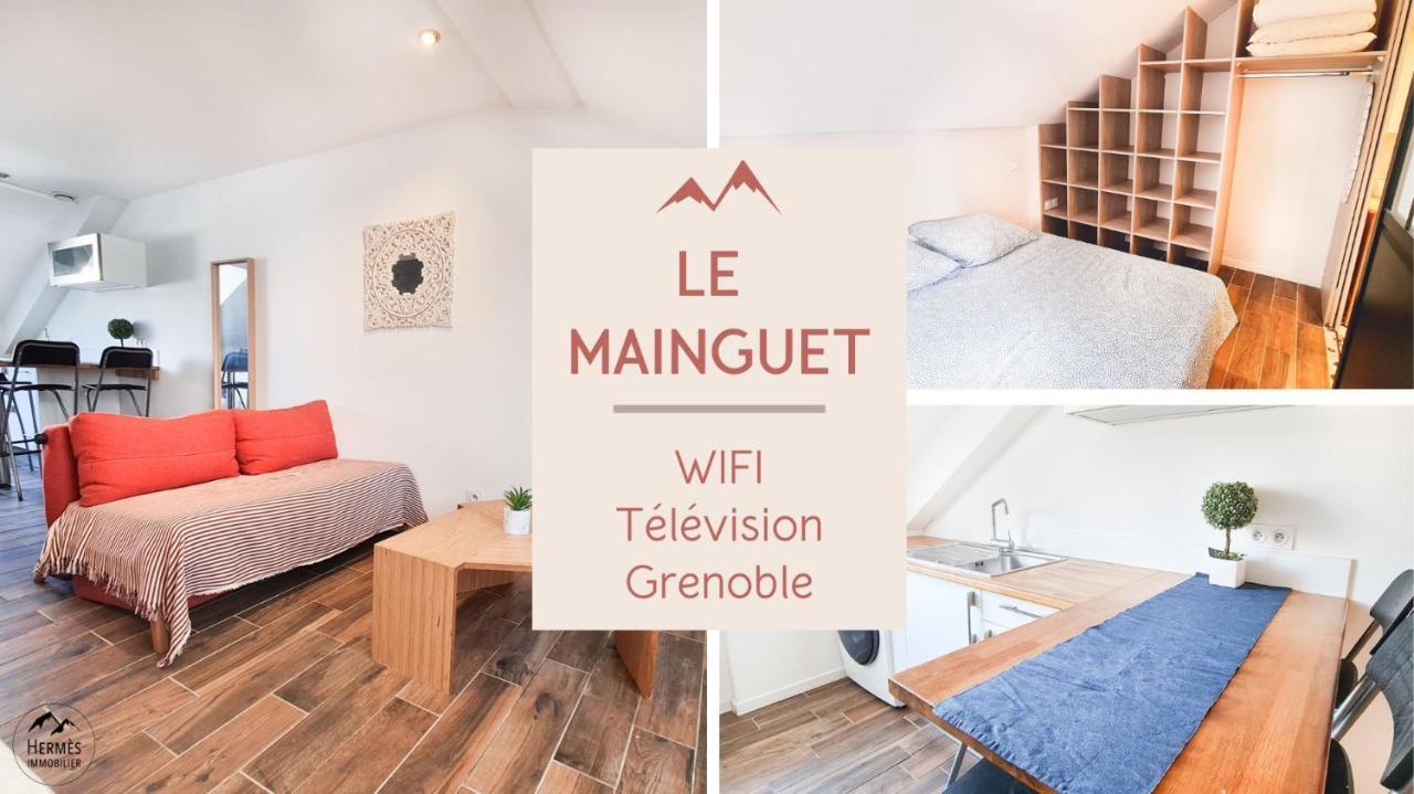 Le Mainguet - Appartement Cosy - غرونوبل المظهر الخارجي الصورة